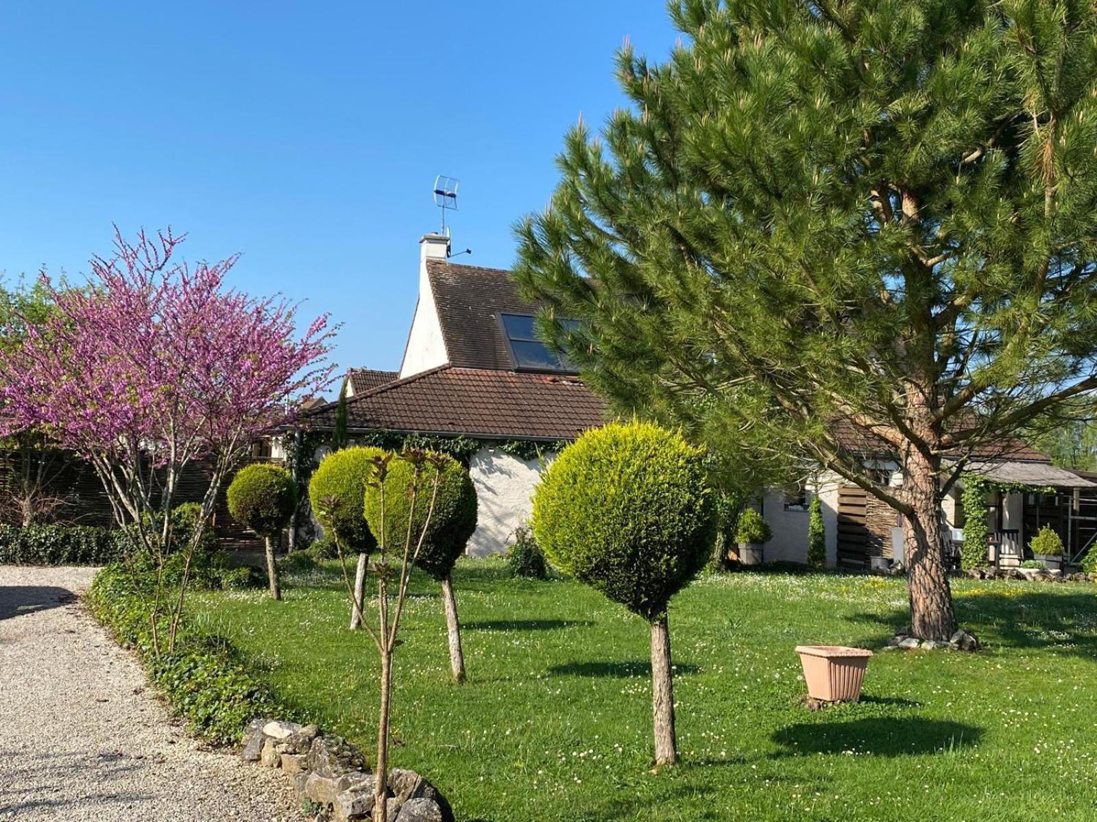 Gite Et Studios Les Barongeres Farges-les-Chalon Екстер'єр фото