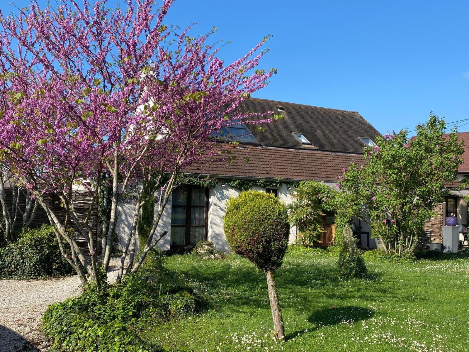 Gite Et Studios Les Barongeres Farges-les-Chalon Екстер'єр фото